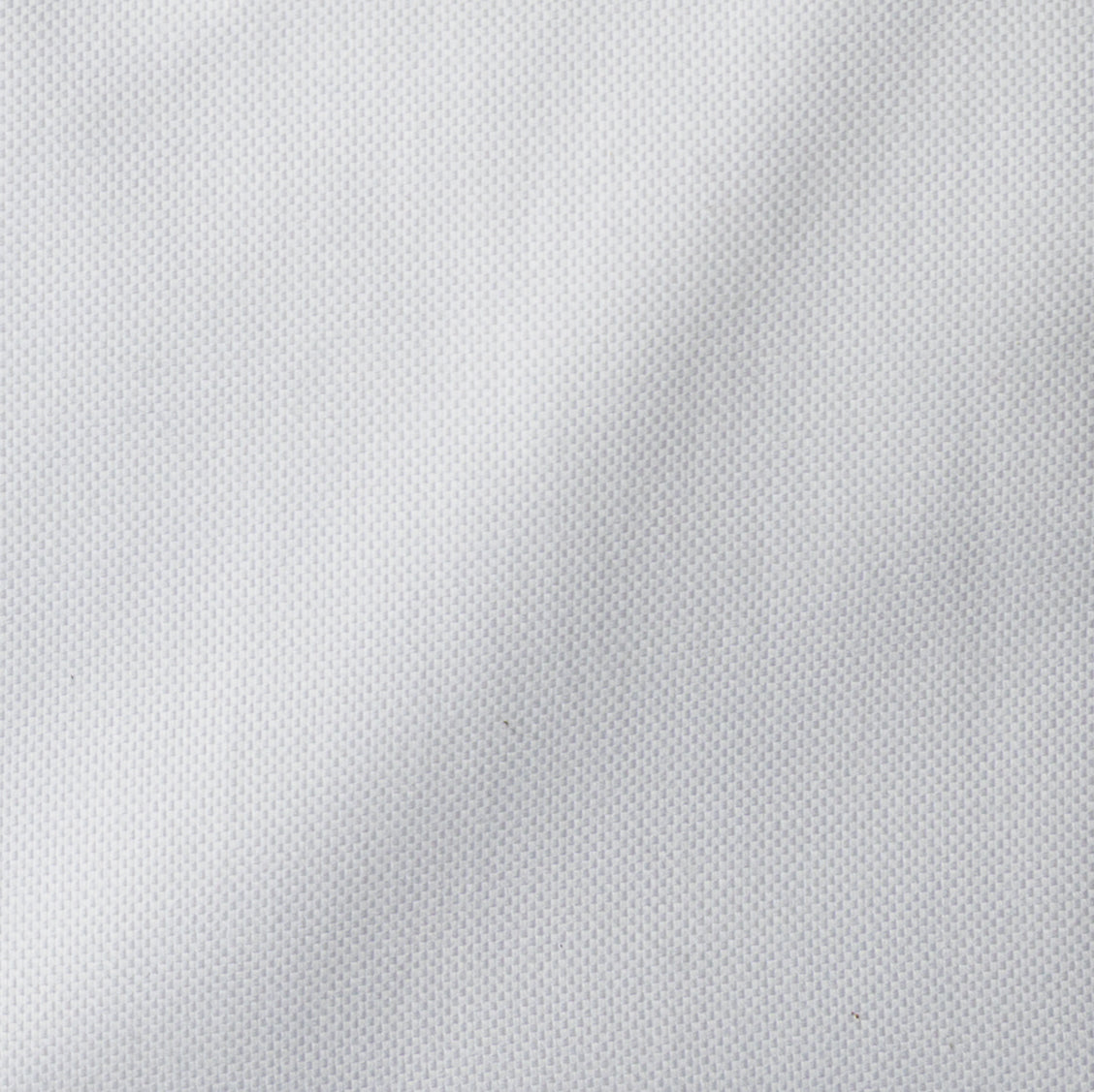 Spread Collar Oxford