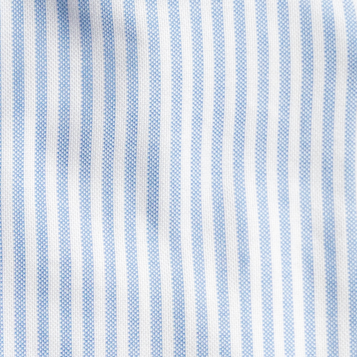 Button Down Long Sleeve