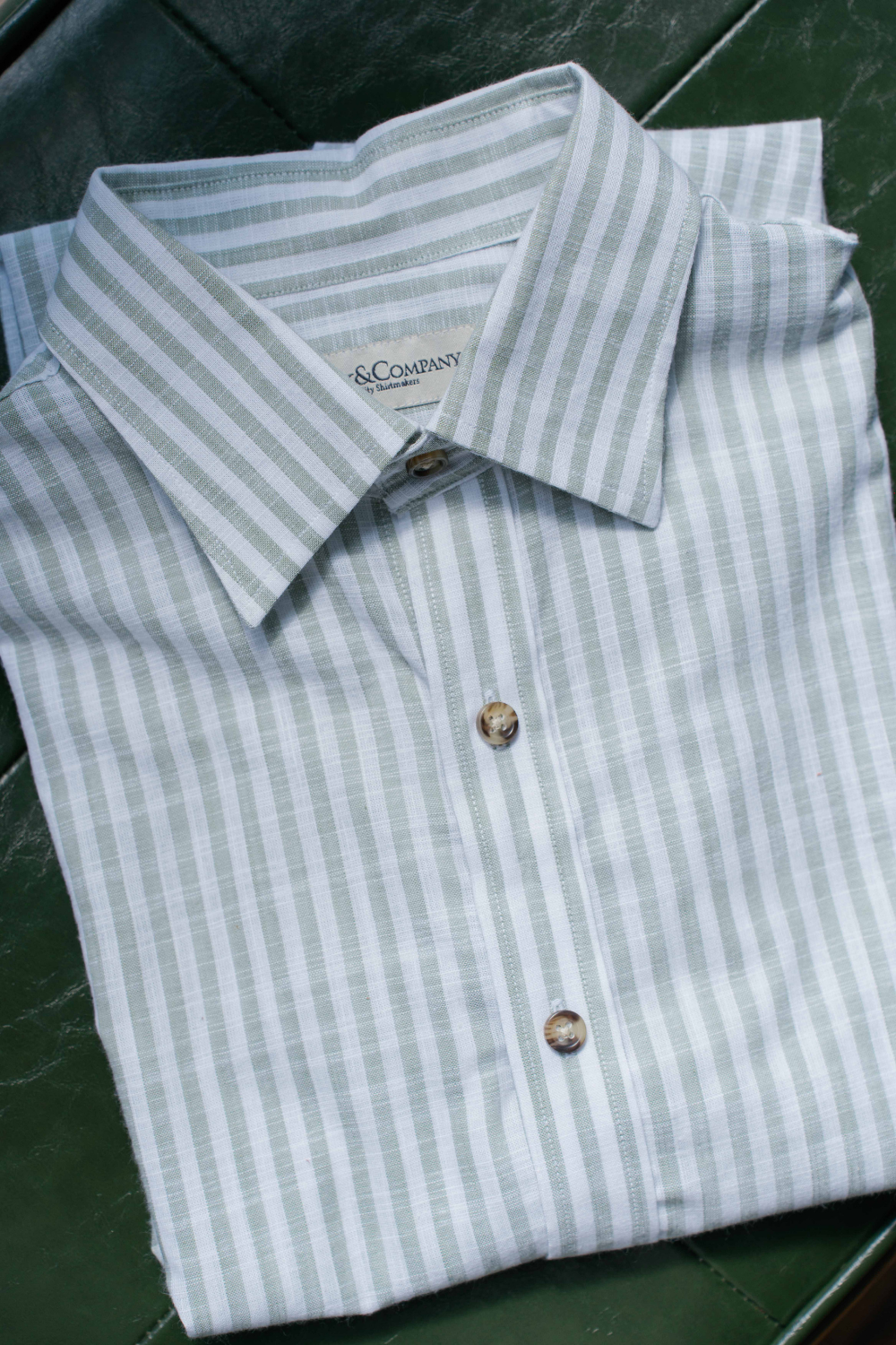 Striped Shirt